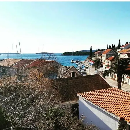 Maslineo
